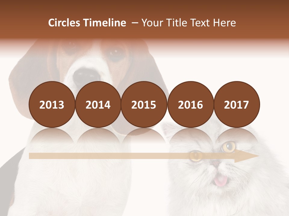 Animals Pretty Pet PowerPoint Template