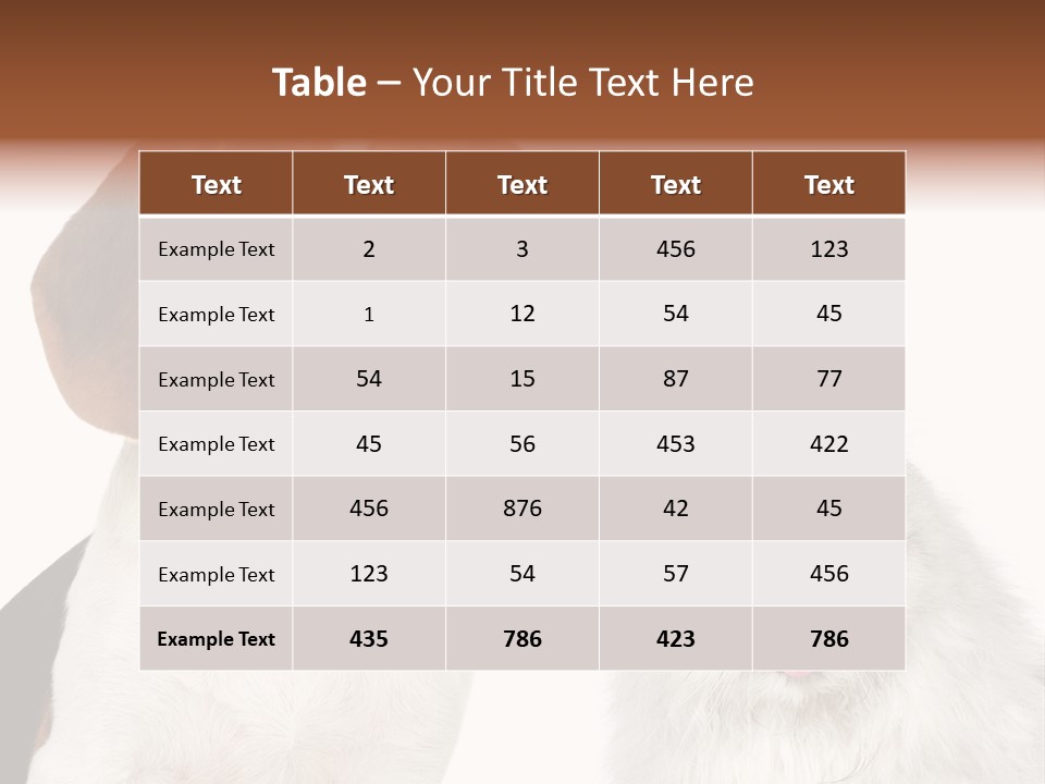 Animals Pretty Pet PowerPoint Template