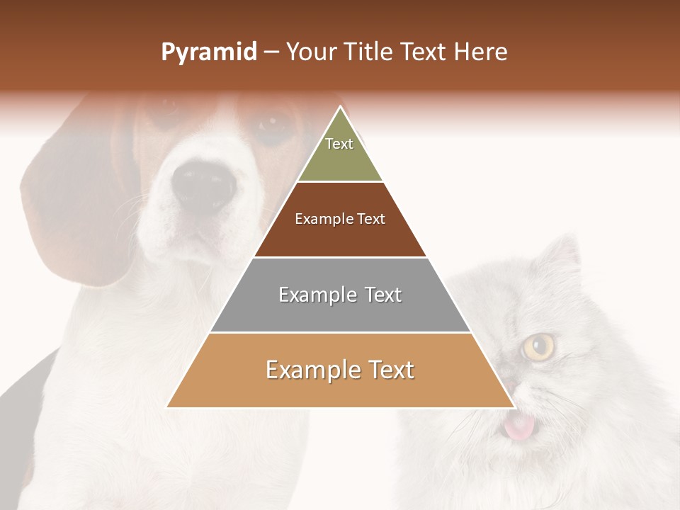 Animals Pretty Pet PowerPoint Template