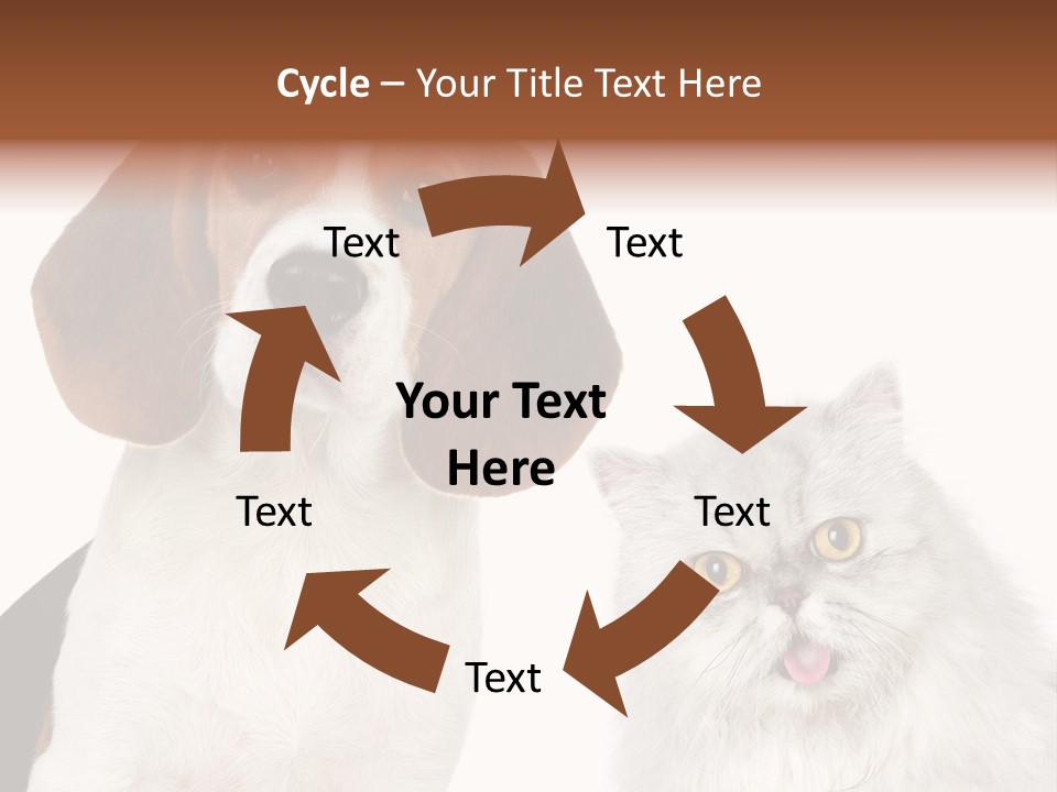 Animals Pretty Pet PowerPoint Template