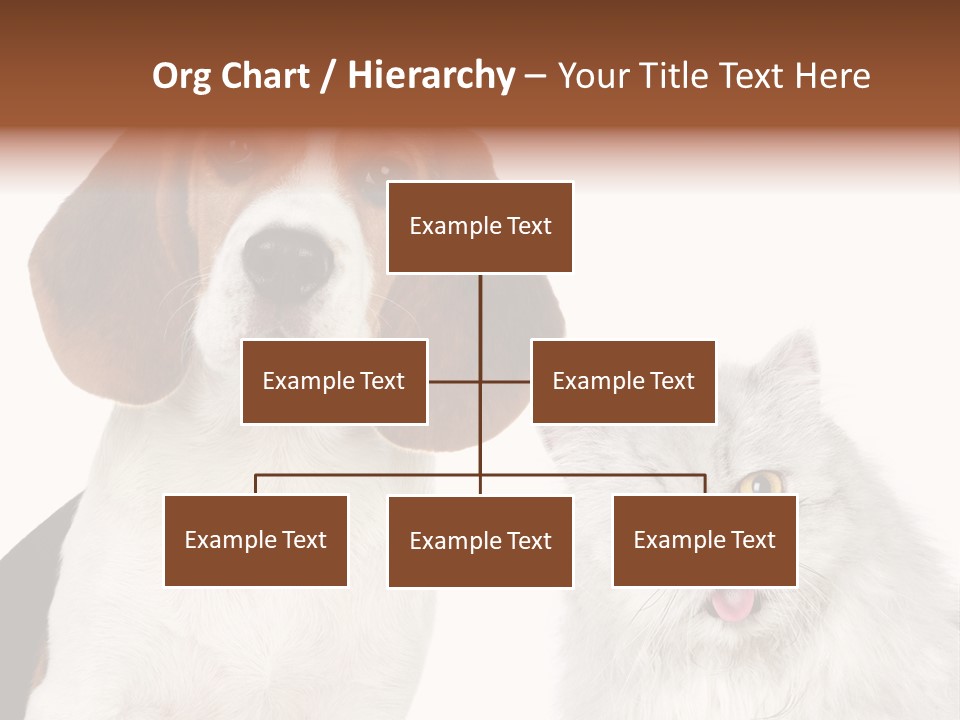 Animals Pretty Pet PowerPoint Template