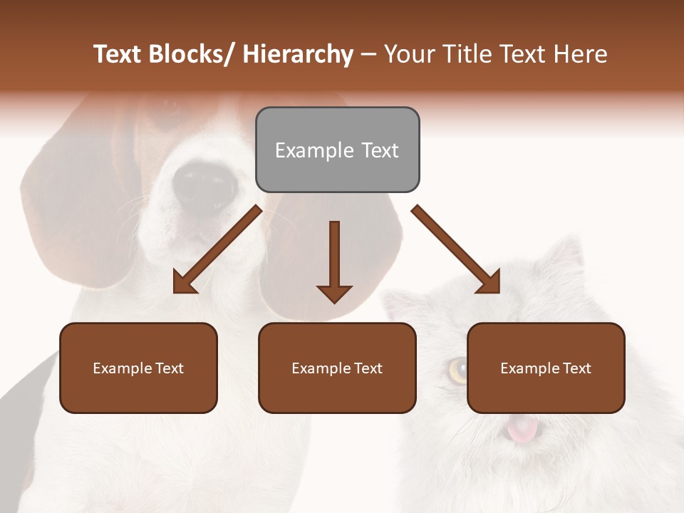 Animals Pretty Pet PowerPoint Template