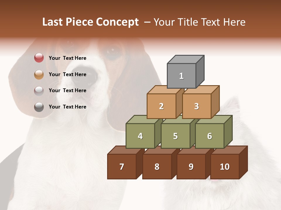 Animals Pretty Pet PowerPoint Template
