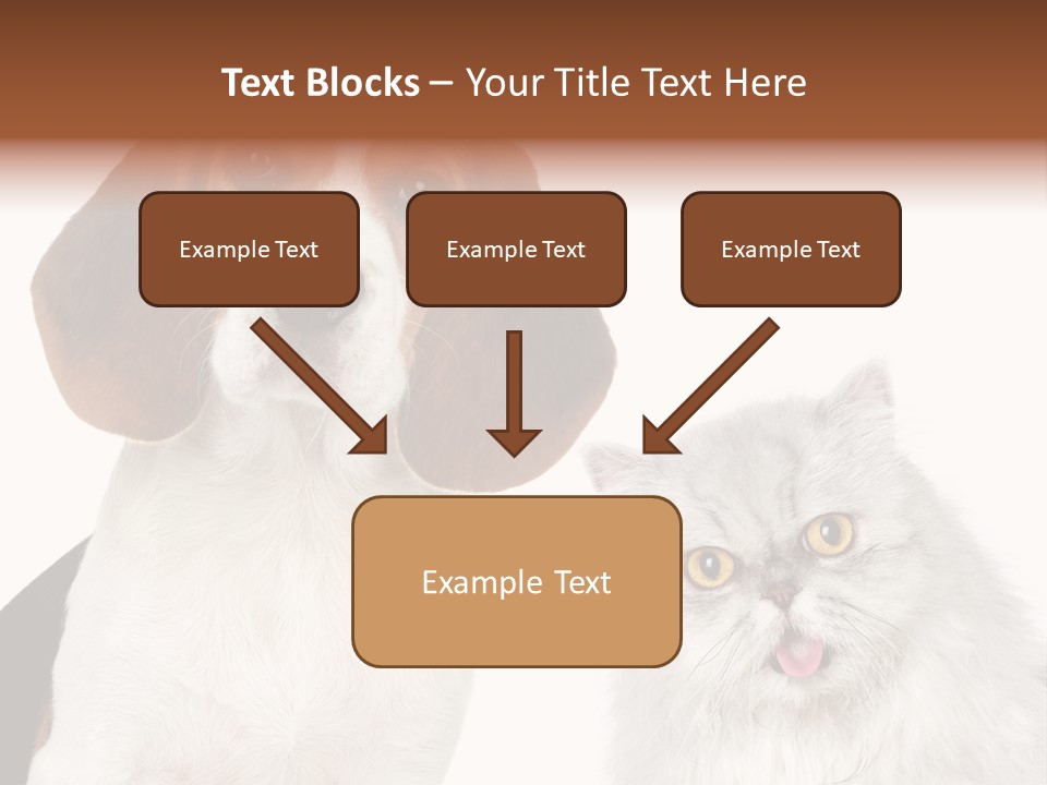 Animals Pretty Pet PowerPoint Template