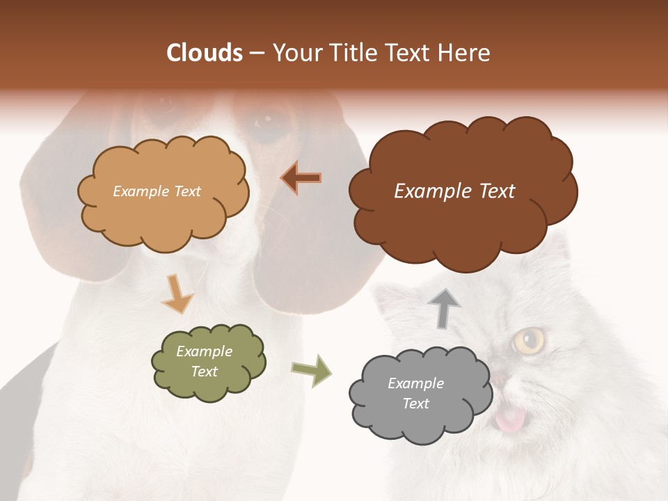 Animals Pretty Pet PowerPoint Template