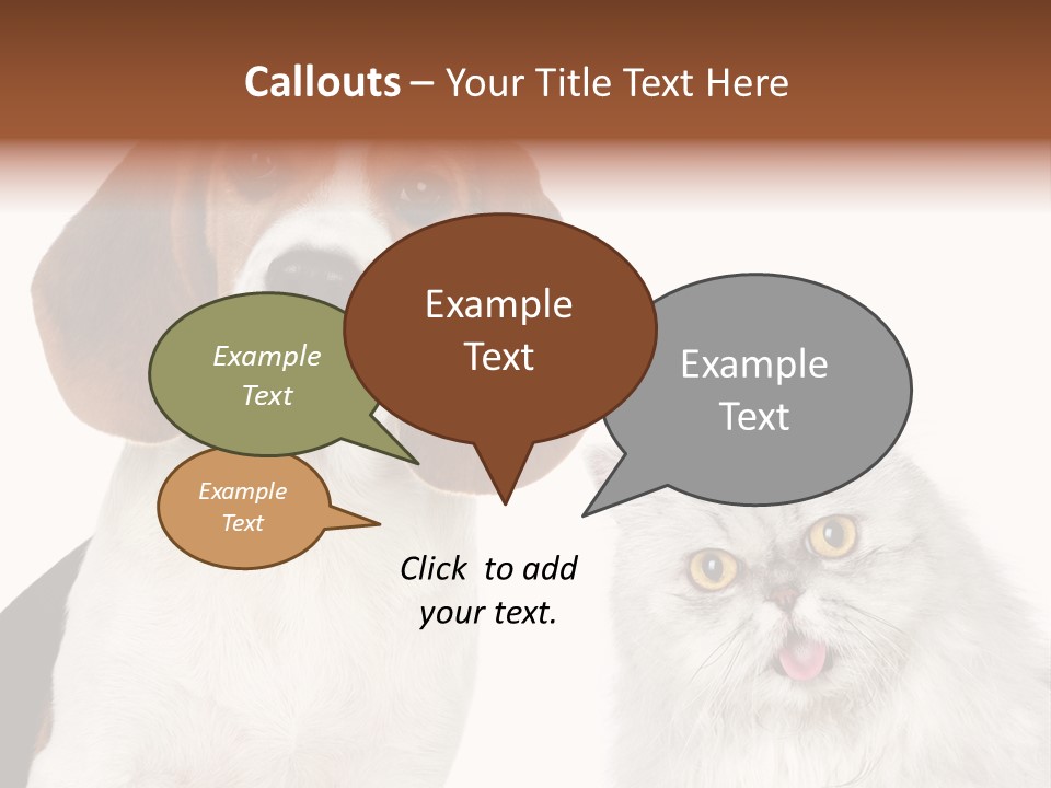 Animals Pretty Pet PowerPoint Template