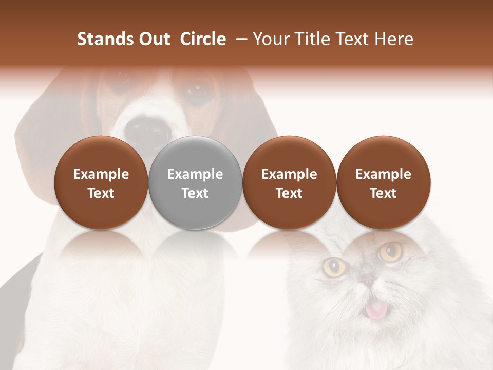 Animals Pretty Pet PowerPoint Template