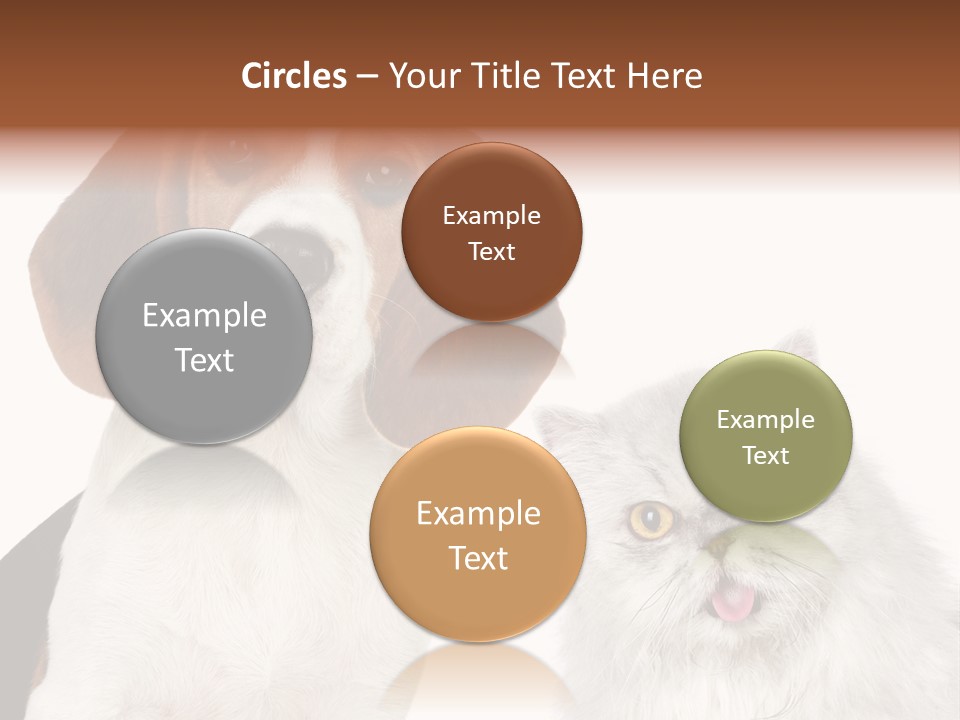 Animals Pretty Pet PowerPoint Template