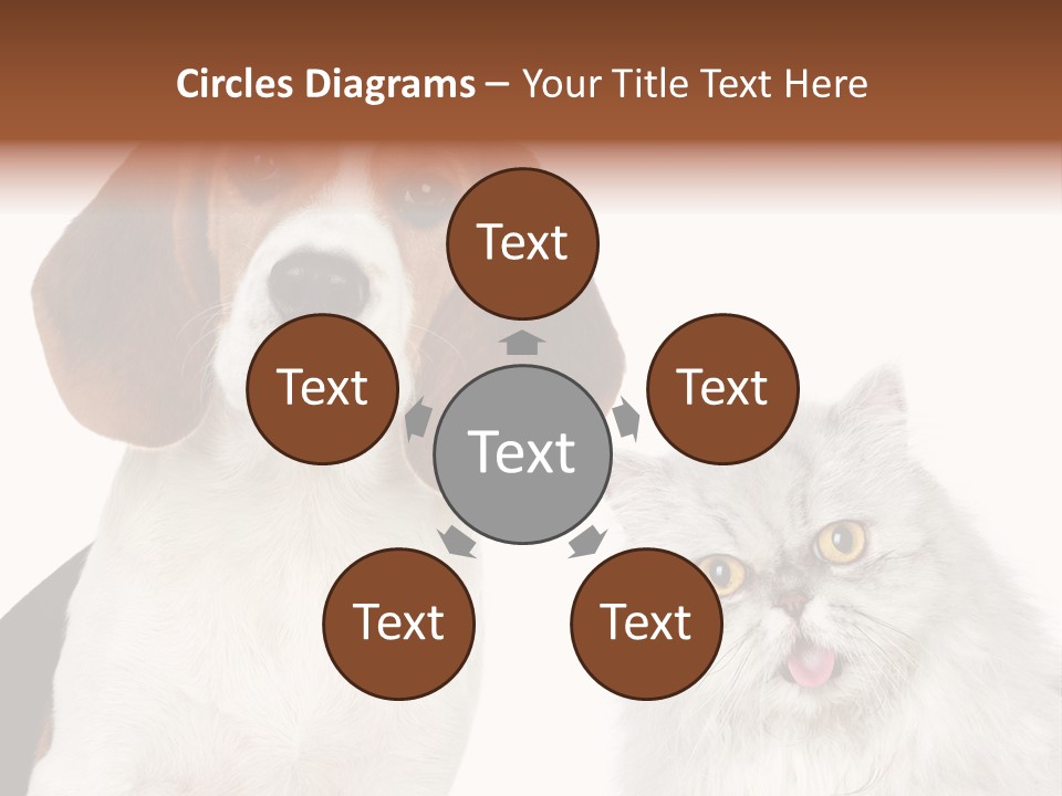 Animals Pretty Pet PowerPoint Template
