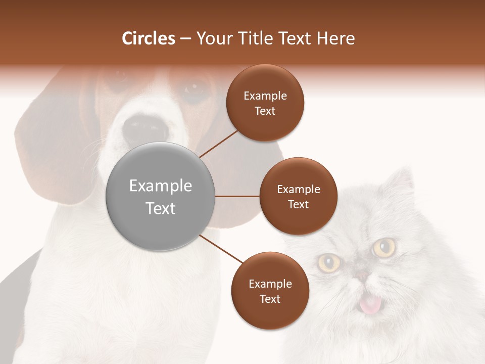 Animals Pretty Pet PowerPoint Template