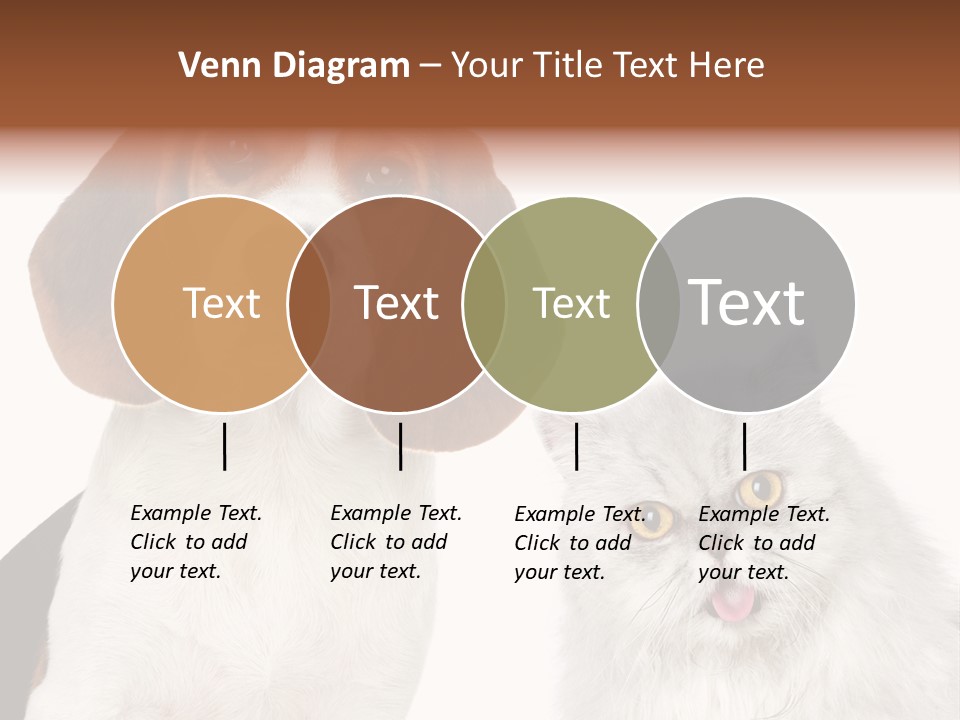 Animals Pretty Pet PowerPoint Template
