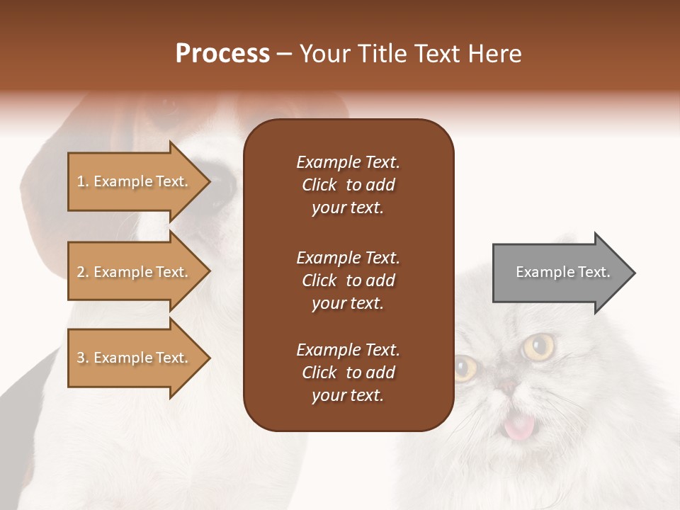 Animals Pretty Pet PowerPoint Template