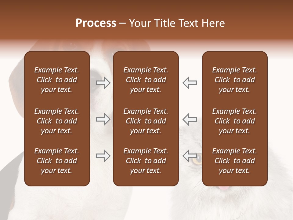 Animals Pretty Pet PowerPoint Template