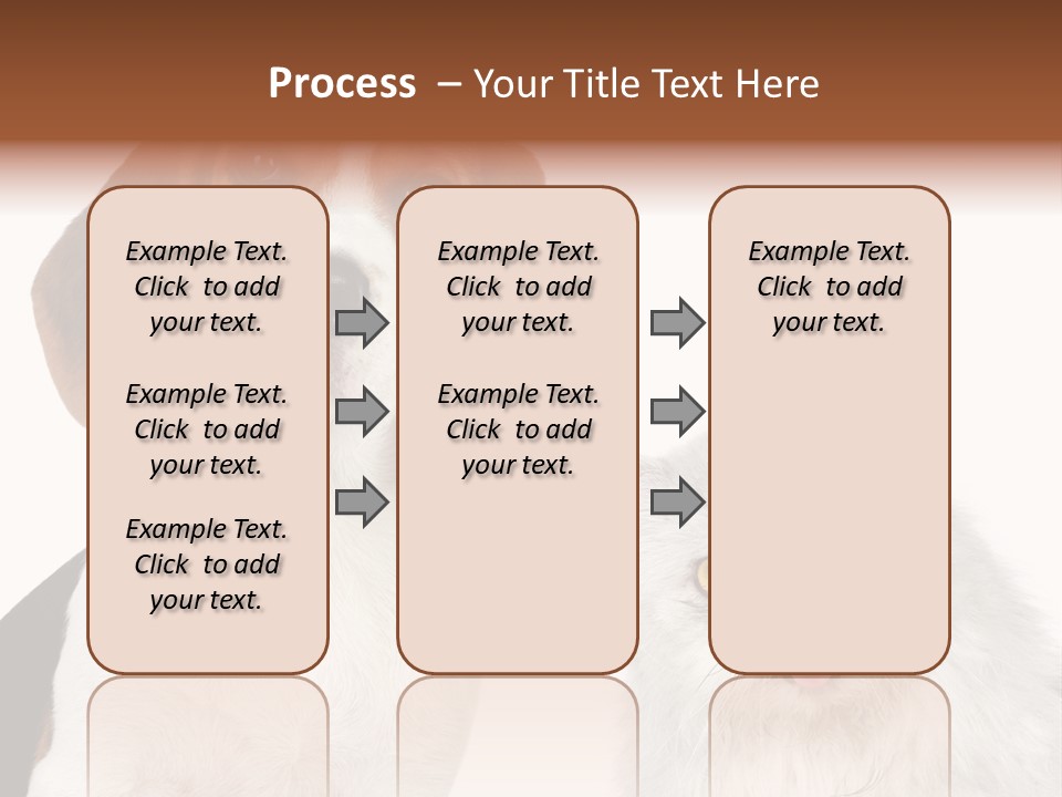 Animals Pretty Pet PowerPoint Template