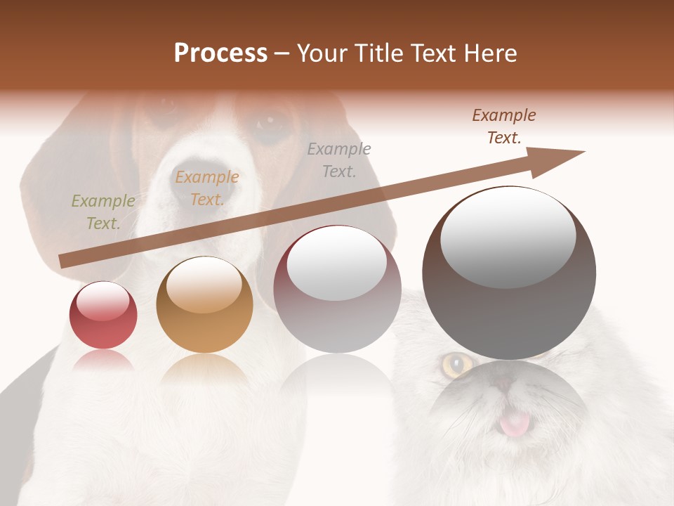 Animals Pretty Pet PowerPoint Template