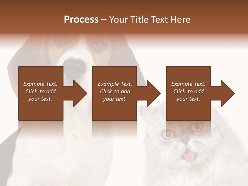 Animals Pretty Pet PowerPoint Template