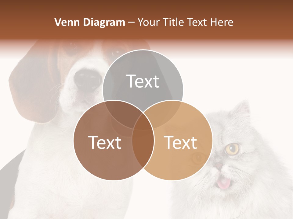 Animals Pretty Pet PowerPoint Template