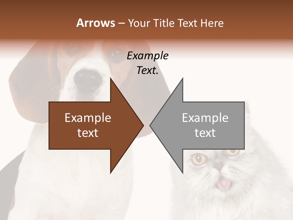 Animals Pretty Pet PowerPoint Template