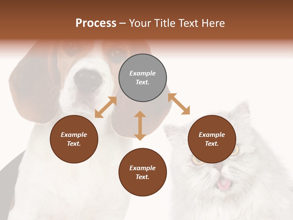 Animals Pretty Pet PowerPoint Template