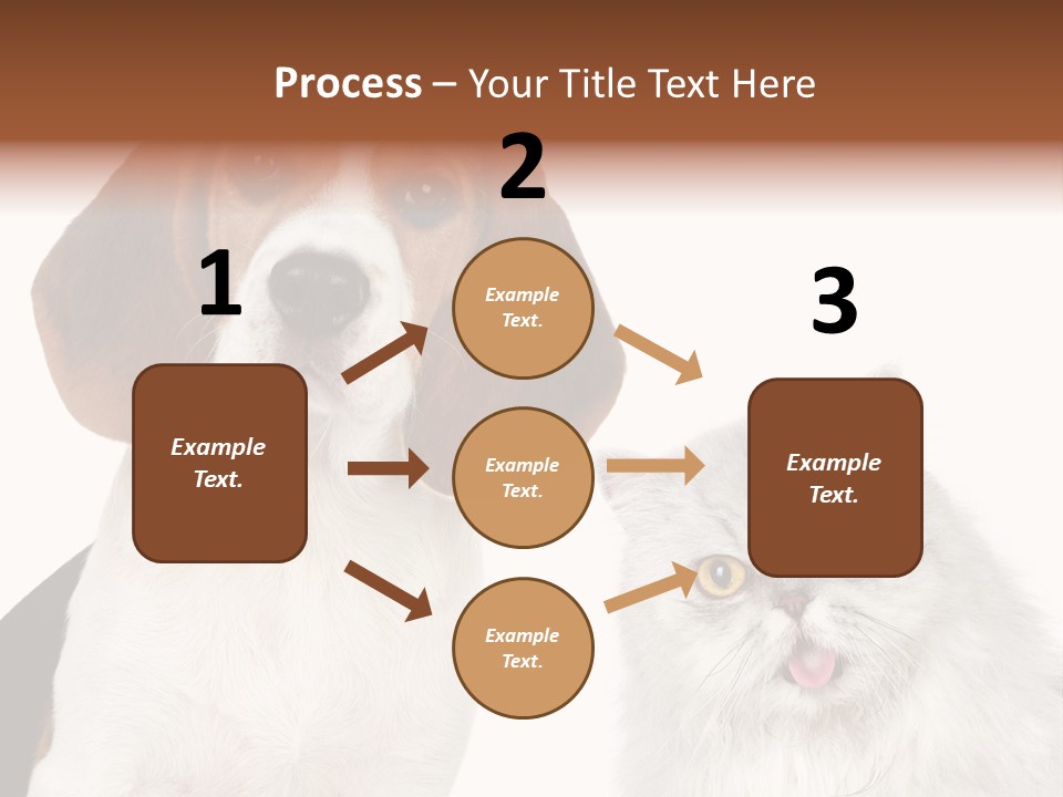 Animals Pretty Pet PowerPoint Template