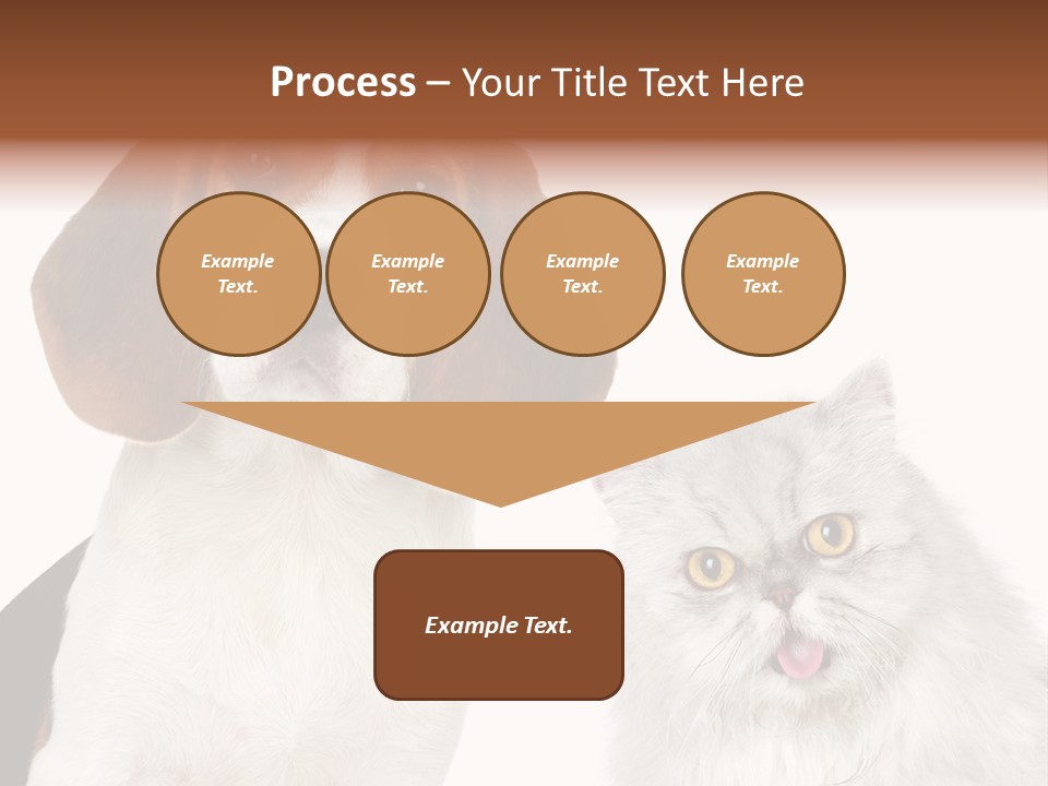 Animals Pretty Pet PowerPoint Template