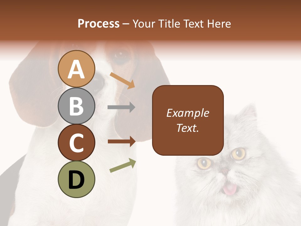 Animals Pretty Pet PowerPoint Template