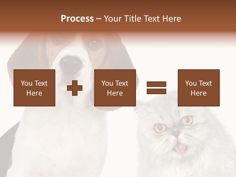 Animals Pretty Pet PowerPoint Template
