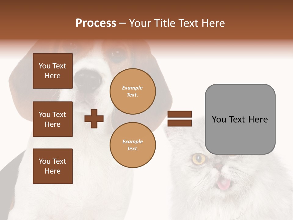 Animals Pretty Pet PowerPoint Template