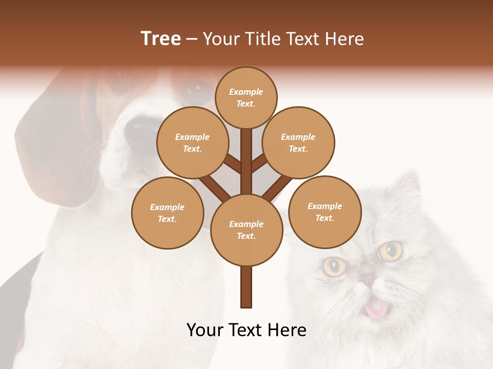 Animals Pretty Pet PowerPoint Template