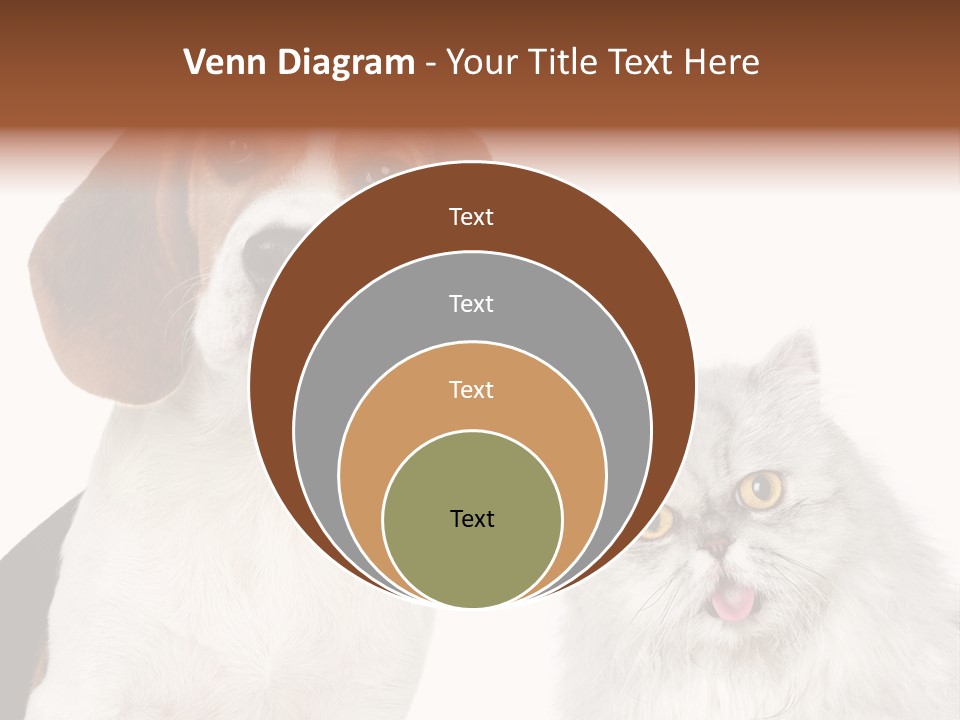 Animals Pretty Pet PowerPoint Template
