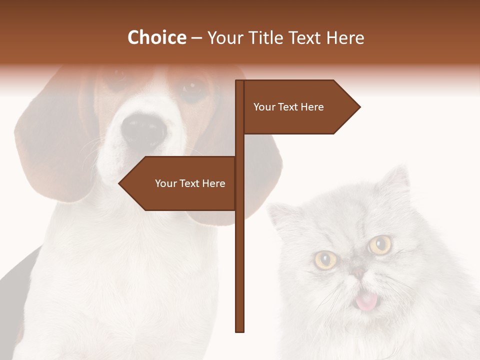Animals Pretty Pet PowerPoint Template