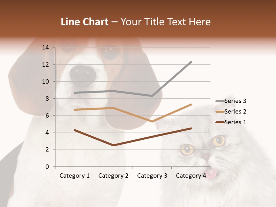 Animals Pretty Pet PowerPoint Template