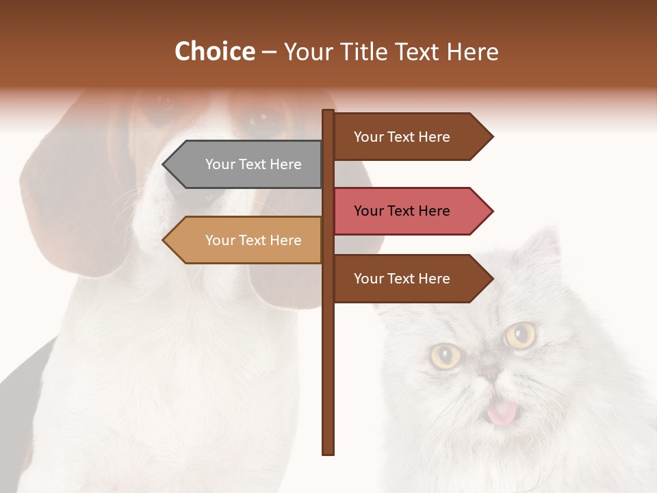Animals Pretty Pet PowerPoint Template