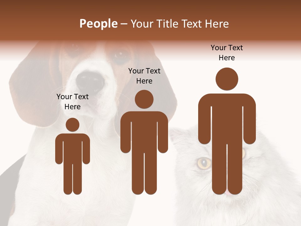 Animals Pretty Pet PowerPoint Template