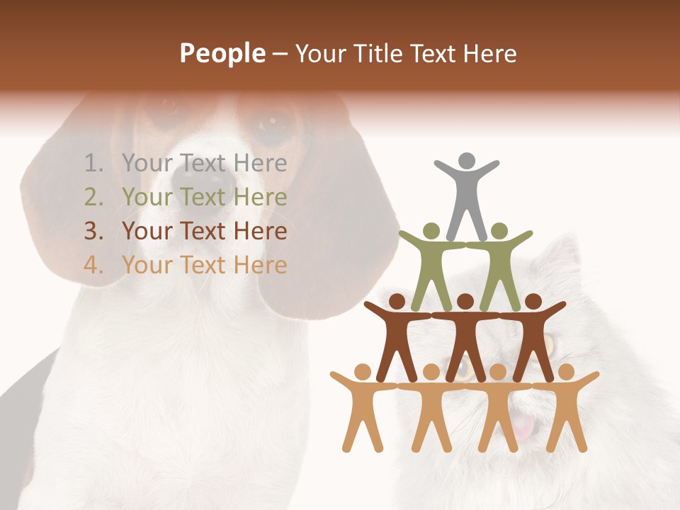 Animals Pretty Pet PowerPoint Template