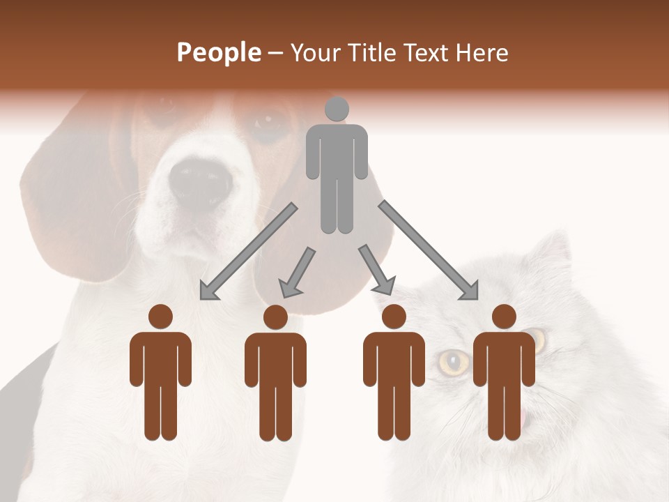 Animals Pretty Pet PowerPoint Template