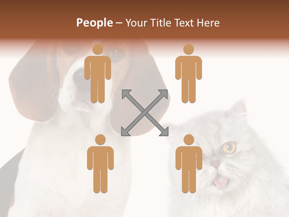 Animals Pretty Pet PowerPoint Template
