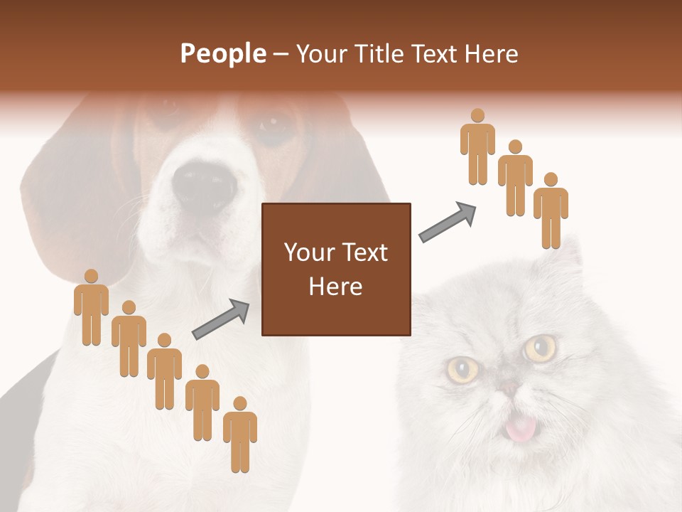 Animals Pretty Pet PowerPoint Template