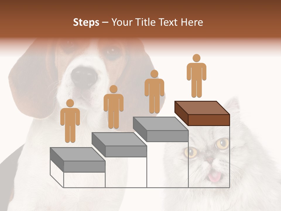 Animals Pretty Pet PowerPoint Template