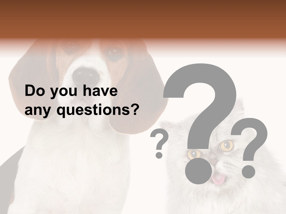 Animals Pretty Pet PowerPoint Template