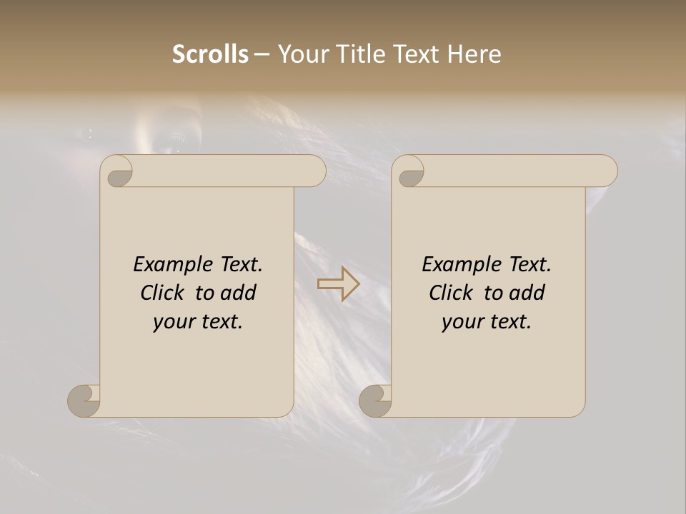 Candid Girl Fashion PowerPoint Template