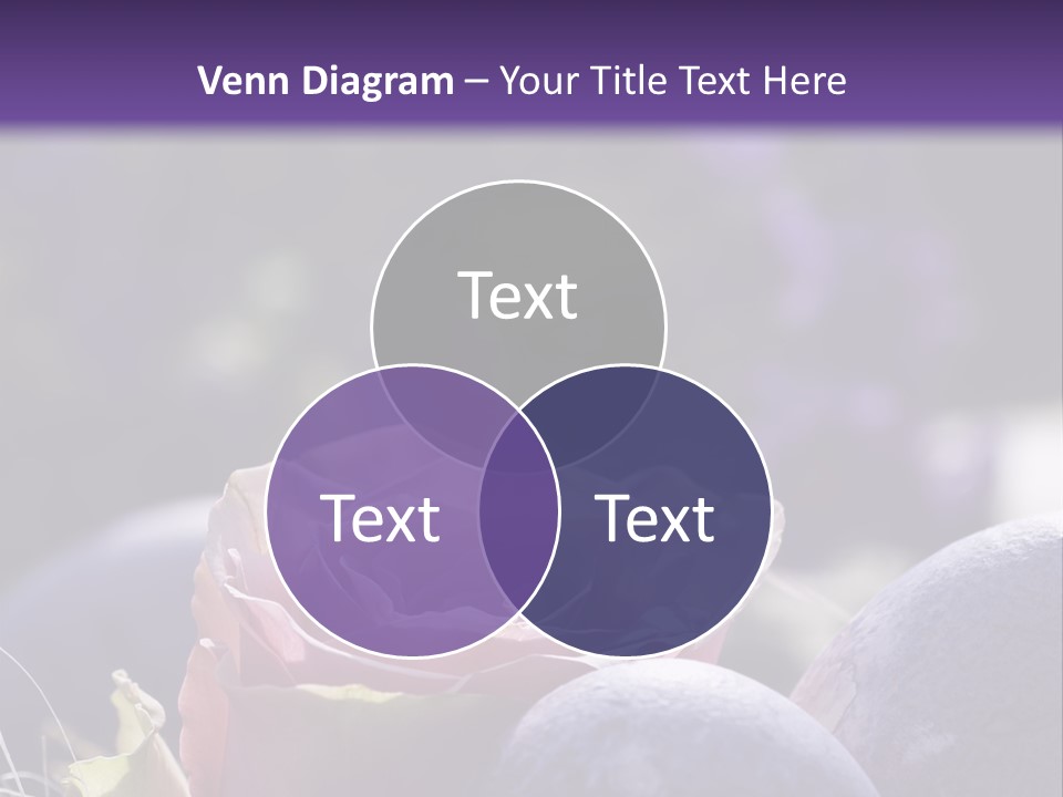 Vertically Dyed Blossomed PowerPoint Template