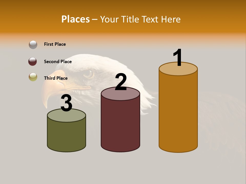 Animal America Hawk PowerPoint Template