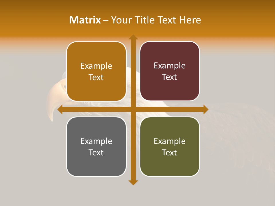 Animal America Hawk PowerPoint Template