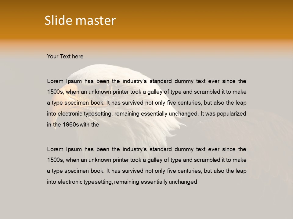 Animal America Hawk PowerPoint Template