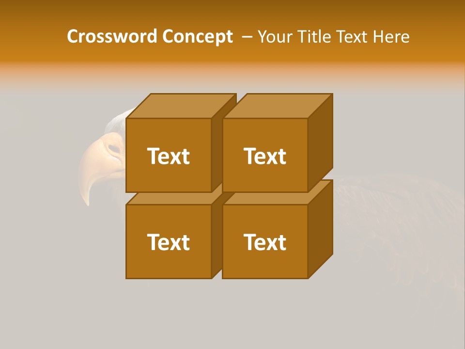 Animal America Hawk PowerPoint Template