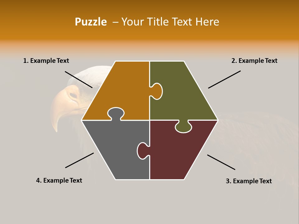 Animal America Hawk PowerPoint Template