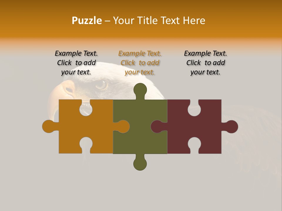 Animal America Hawk PowerPoint Template