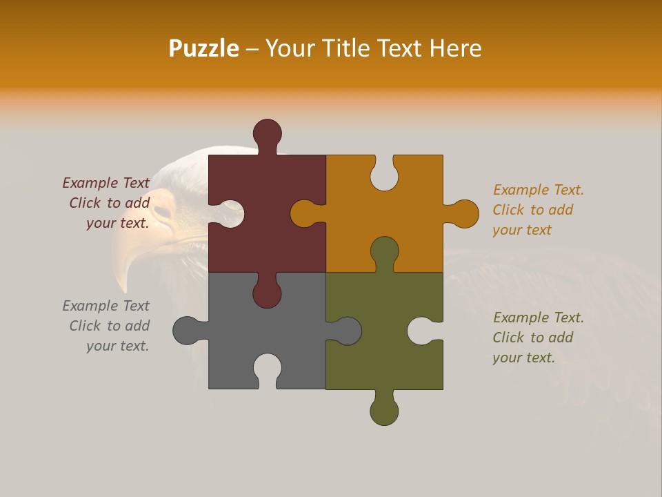 Animal America Hawk PowerPoint Template