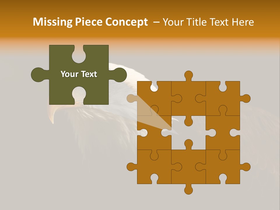 Animal America Hawk PowerPoint Template